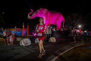 BIB: 
                            <button type="button" onclick="openModal(26552180)" class="btn btn-primary btn-sm float-right btn-popup" data-toggle="modal" data-target=".modal-high-quality">
                        <i class="fas fa-shopping-cart"></i> Add to Cart
                    </button>
                                            <button type="button" onclick="isThisMe(26552180, true)" class="btn btn-success btn-sm float-right btn-popup btn-isme hidden" data-toggle="tooltip" data-placement="bottom" title="นี่คือรูปของคุณใช่ไหม คลิกที่นี่เพื่อเอาเข้าอัลบั้ม">
                        <i class="fas fa-plus"></i> Add to album
                    </button>
                    <button type="button" onclick="isThisMe(26552180, false)" class="btn btn-warning btn-sm float-right btn-popup btn-isnotme hidden">
                        <i class="fas fa-ban"></i> Remove from album
                    </button>